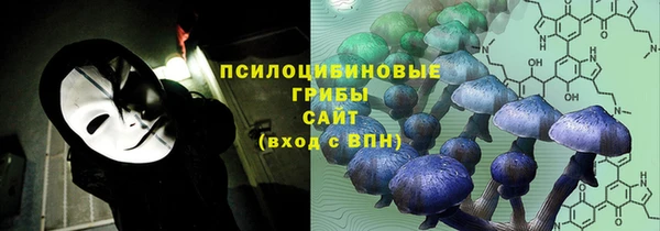 экстази Краснослободск