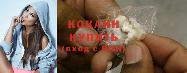 стаф Кулебаки