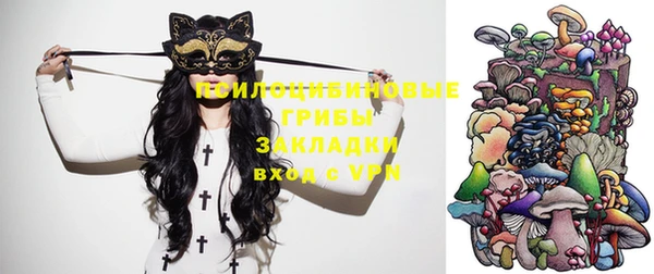 дмт Кукмор