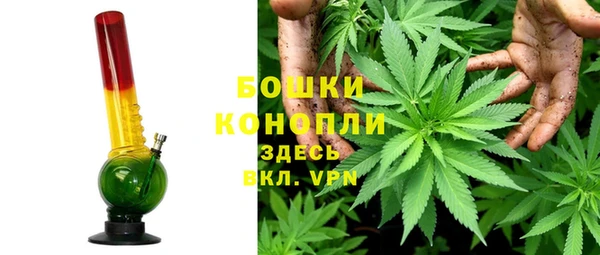 дмт Кукмор
