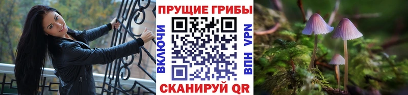 Псилоцибиновые грибы Psilocybe Лукоянов